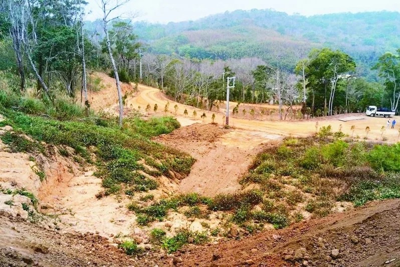 山坡地整地先等等！沒申請就動工，6到30萬罰單等你收
