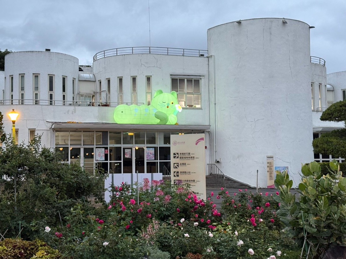 園丁喵喵出任務 進駐臺北玫瑰園     