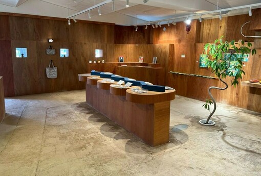 借鏡日本校舍重生！饒慶鈴率團見證千葉縣市里見小學轉型文藝基地