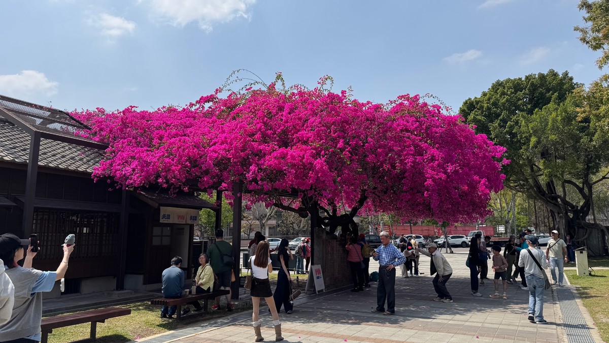 親友借戶口會害你房屋稅暴增？稅務局給答案了