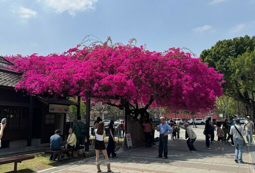 親友借戶口會害你房屋稅暴增？稅務局給答案了