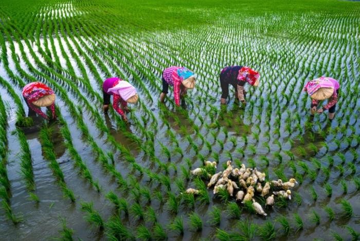 「米蘭之鄉•後壁之美攝影展」永華市政中心隆重登場