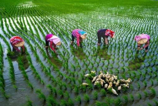 「米蘭之鄉•後壁之美攝影展」永華市政中心隆重登場