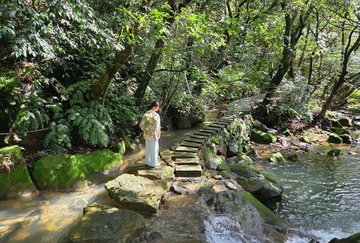 陽明山海芋季開跑！漫步純白花海與仙氣步道
