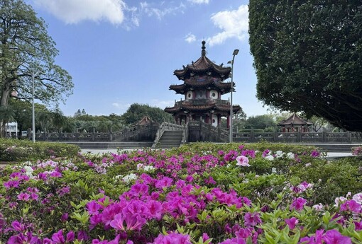 臺北杜鵑花最美花期來囉! 賞花全攻略報您知