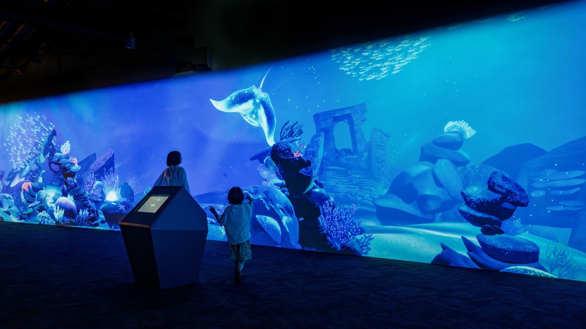 兒童節連假好去處！捐書免費暢遊台中海洋館 親子共度知識與歡樂假期