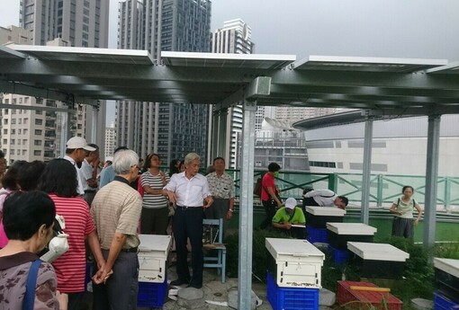 綠屋頂也能賺錢？高雄社區賣電累積370萬　專家提醒：收益沒你想的那麼好賺