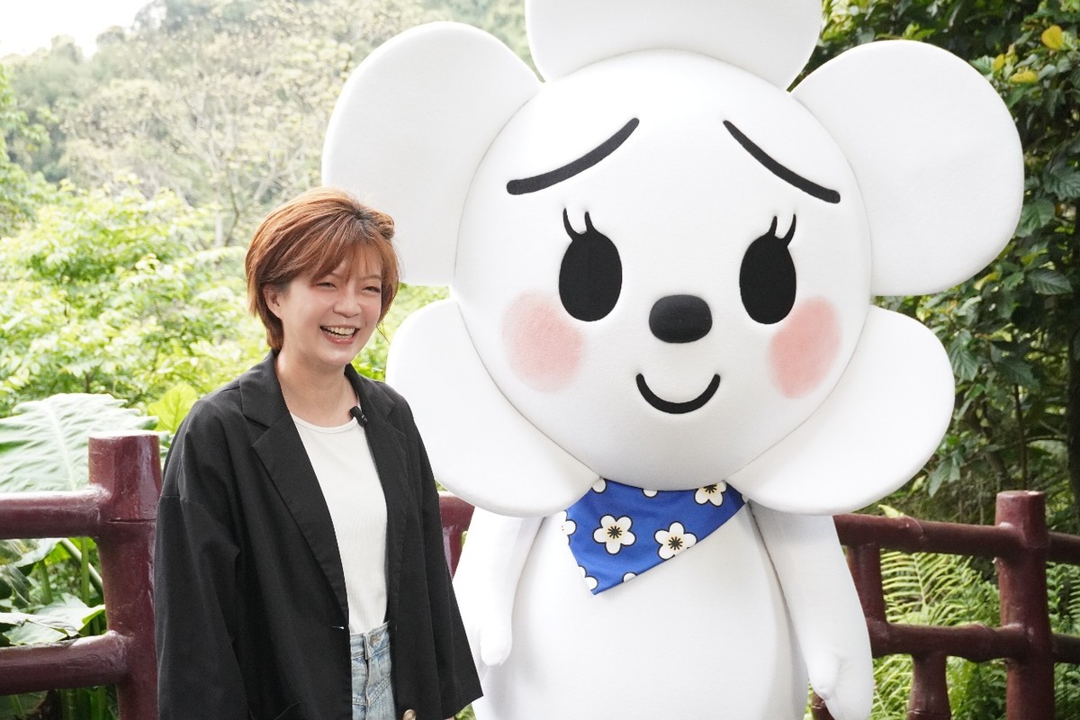 超萌「發桐醬」帶路！七區接力和民眾共桐玩新北2026新北市客家桐花祭「有福桐享共下行」4月登場