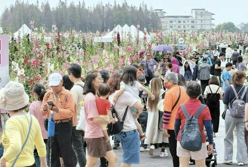 2026員林蜀葵花季盛大開幕 萬株花卉繽紛綻放