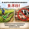 承租縣有耕地可以養動物嗎？政府地政處：不行！只能種農作物