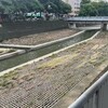 自由工作者才適用？鄉下200萬買房＋百萬好車爆紅　「美式生活」背後其實是收入模式轉變