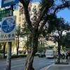 台北26校額滿、7校在大安：學區房狂熱其實買的是「生活安全感」