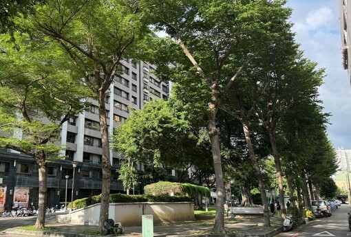 共有土地可以「多數決賣掉你那一份」？少數共有人真的只能被動接受？