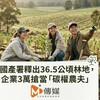 國產署釋出36.5公頃林地，企業3萬搶當「碳權農夫」