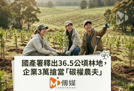 國產署釋出36.5公頃林地，企業3萬搶當「碳權農夫」
