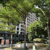 人在海外想回台買房卻貸不到？無報稅紀錄成關卡　專家揭3大解法