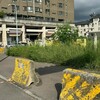 三七五租約「永遠趕不走」！老農告贏區公所，地主想收回土地比登天還難