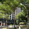 預售屋給爸媽住、車位拿去出租　賣屋還有400萬免稅額嗎？專家：小心「自住」認定不是你想的那樣