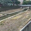 農地贈與配偶就能洗掉違規紀錄？稅務局提醒：再犯恐不能不課土增稅